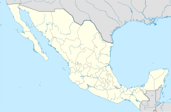 Плая-Висенте (Мексика)